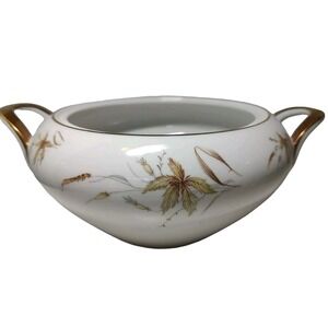 Edelstein Bavaria Germany Aurora Bowl Serving‎ Dish Soup Gold Leaf 20067 MCM